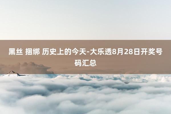 黑丝 捆绑 历史上的今天-大乐透8月28日开奖号码汇总