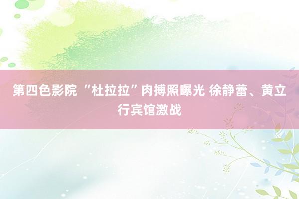 第四色影院 “杜拉拉”肉搏照曝光 徐静蕾、黄立行宾馆激战