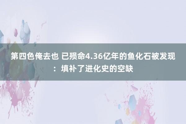 第四色俺去也 已殒命4.36亿年的鱼化石被发现：填补了进化史的空缺