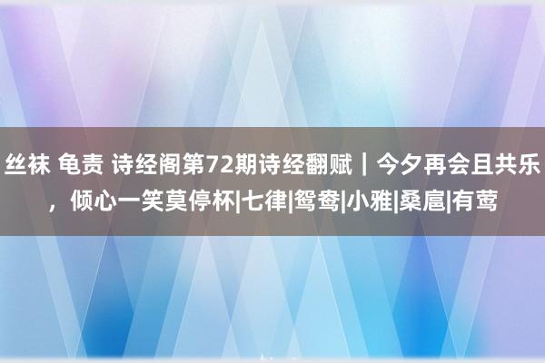 丝袜 龟责 诗经阁第72期诗经翻赋｜今夕再会且共乐，倾心一笑莫停杯|七律|鸳鸯|小雅|桑扈|有莺